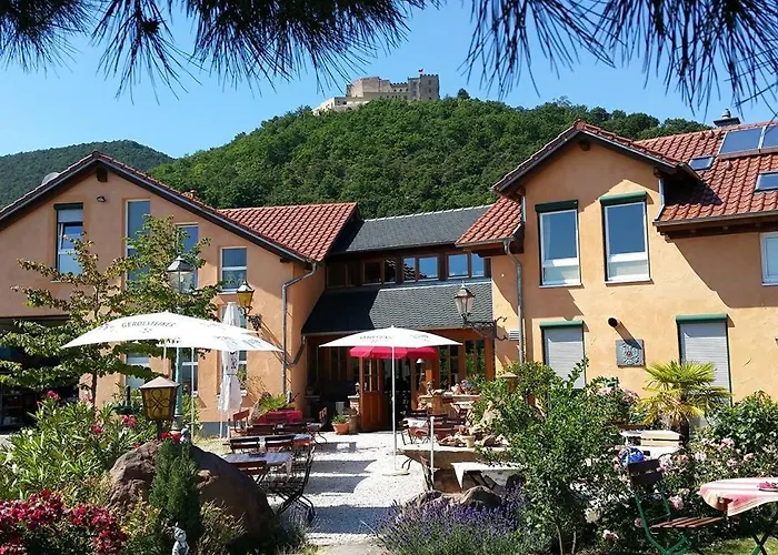 Weinhaus Paradies